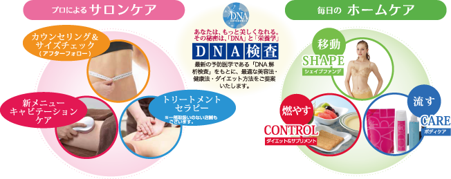 株式会社NSFサービス概要